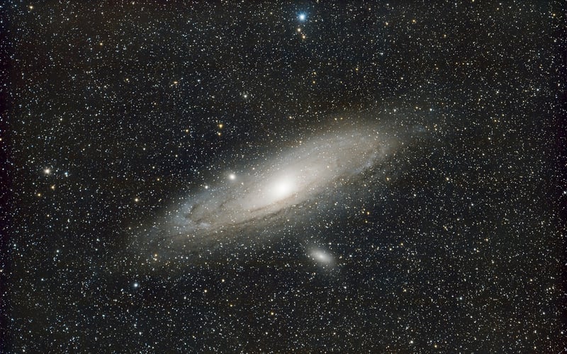 Extraterrestrial Life